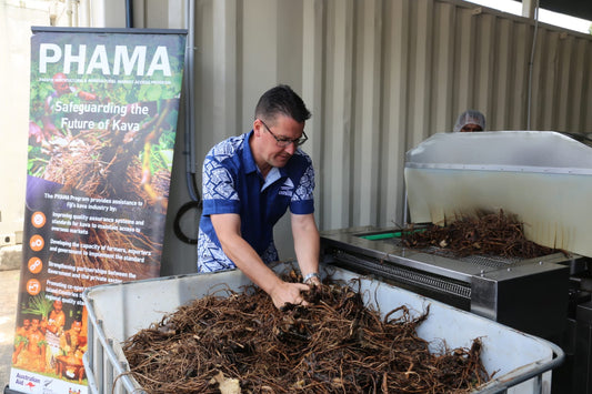Unlimited commercial kava export trial to Australia gets nod